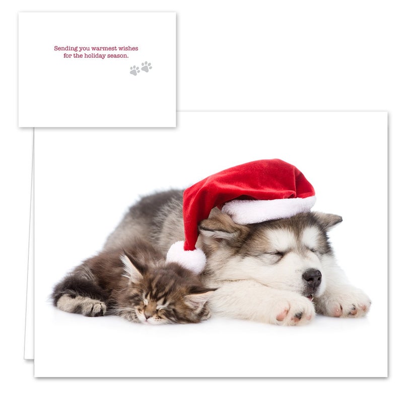 Canopy Street Christmas Cats Holiday Card Assortment Pack / 25 Seasonal Kitten Greeting Cards And Envelopes / 5 Sleeping Santa Animal Designs And Christmas Messages - Image 4